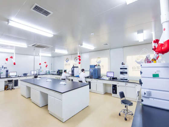 吸附式凈化實驗室 吸附式凈化實驗室